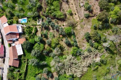Villa i Tomar, Santarem, Tomar - € 62.500 | Ref: VCP445 - foto 29