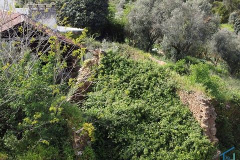 Villa i Tomar, Santarem, Tomar - € 62.500 | Ref: VCP445 - foto 30