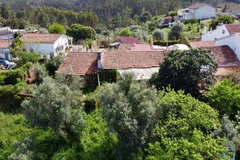 Villa i Tomar, Santarem, Tomar - € 62.500 | Ref: VCP445 - foto 31
