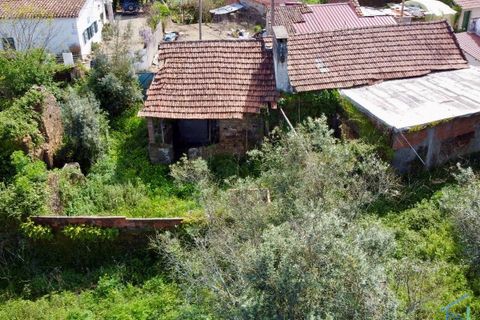 Villa i Tomar, Santarem, Tomar - € 62.500 | Ref: VCP445 - foto 32