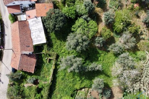 Villa i Tomar, Santarem, Tomar - € 62.500 | Ref: VCP445 - foto 34