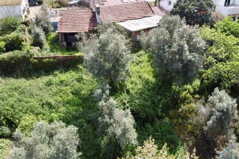 Villa i Tomar, Santarem, Tomar - € 62.500 | Ref: VCP445 - foto 35