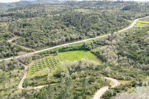 Terra a Penela, Coimbra, Penela - € 10.000 | Ref: 140521 - foto 7