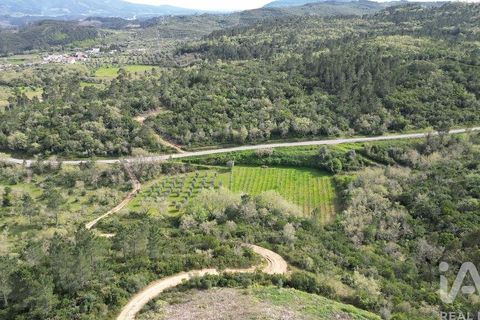Terra a Penela, Coimbra, Penela - € 10.000 | Ref: 140521 - foto 8