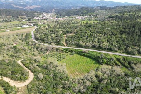 Terra a Penela, Coimbra, Penela - € 10.000 | Ref: 140521 - foto 9