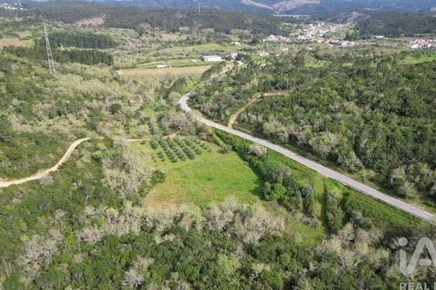 Terra a Penela, Coimbra, Penela - € 10.000 | Ref: 140521 - foto 10