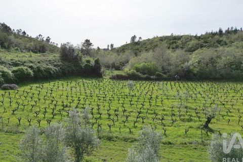 Terra a Penela, Coimbra, Penela - € 10.000 | Ref: 140521 - foto 11