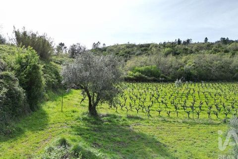 Terra a Penela, Coimbra, Penela - € 10.000 | Ref: 140521 - foto 12