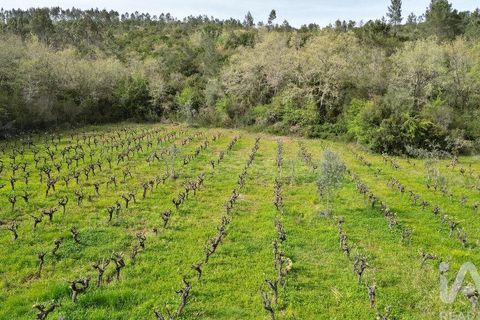 Terra a Penela, Coimbra, Penela - € 10.000 | Ref: 140521 - foto 14