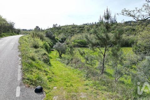 Terra a Penela, Coimbra, Penela - € 10.000 | Ref: 140521 - foto 18