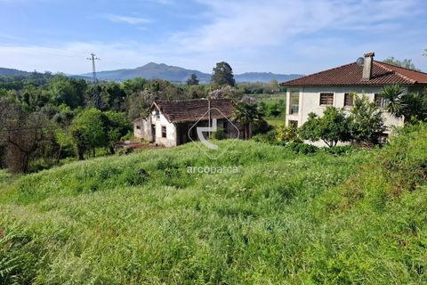 Helårsgrund i Ponte de Lima, Viana do Castelo, Ponte de Lima - € 60.000 | Ref: AV6315 - foto 2
