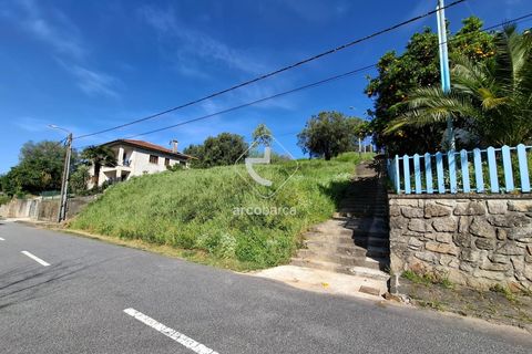 Helårsgrund i Ponte de Lima, Viana do Castelo, Ponte de Lima - € 60.000 | Ref: AV6315 - foto 7