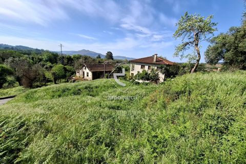 Helårsgrund i Ponte de Lima, Viana do Castelo, Ponte de Lima - € 60.000 | Ref: AV6315 - foto 11