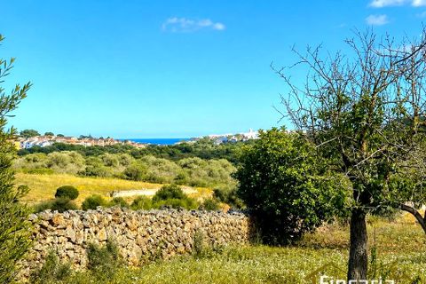 Landejendom i Cala Mandia, Mallorca - foto 1