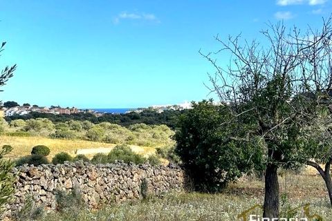 Landejendom i Cala Mandia, Mallorca - foto 5