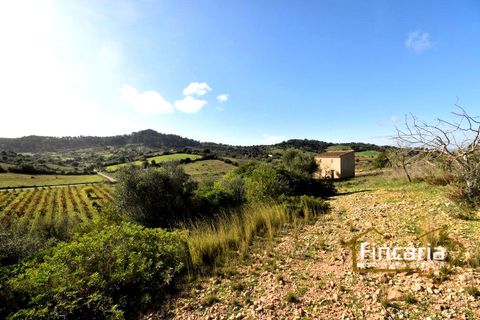 Landejendom i Son Macia, Mallorca, Son Macia - € 275.000 | Ref: FSM-2004 - foto 1