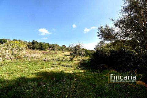 Landejendom i Son Macia, Mallorca, Son Macia - € 275.000 | Ref: FSM-2004 - foto 7