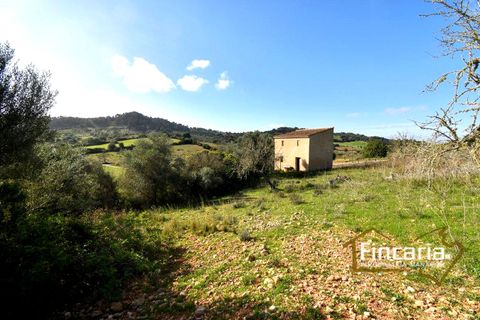 Landejendom i Son Macia, Mallorca, Son Macia - € 275.000 | Ref: FSM-2004 - foto 8