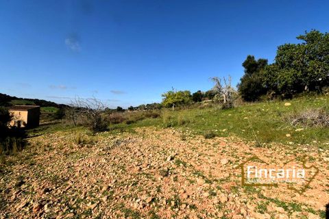 Landejendom i Son Macia, Mallorca, Son Macia - € 275.000 | Ref: FSM-2004 - foto 9