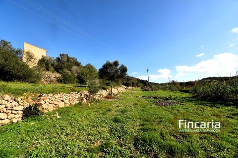 Landejendom i Son Macia, Mallorca, Son Macia - € 275.000 | Ref: FSM-2004 - foto 10