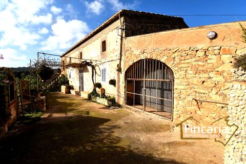 Landhuis in Son Macia, Mallorca - foto 3