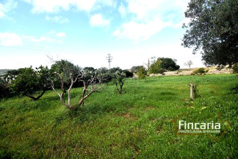 Landejendom i Son Macia, Mallorca, Son Macia - € 800.000 | Ref: FSM-2001 - foto 19