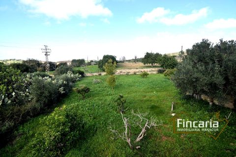 Landejendom i Son Macia, Mallorca, Son Macia - € 800.000 | Ref: FSM-2001 - foto 21