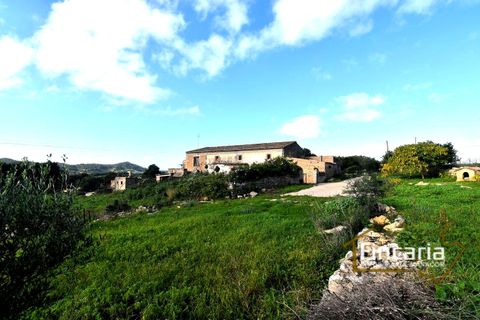 Landejendom i Son Macia, Mallorca, Son Macia - € 800.000 | Ref: FSM-2001 - foto 23