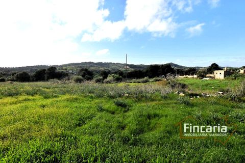 Landejendom i Son Macia, Mallorca, Son Macia - € 800.000 | Ref: FSM-2001 - foto 24