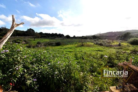 Landejendom i Son Macia, Mallorca, Son Macia - € 800.000 | Ref: FSM-2001 - foto 26