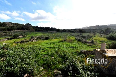 Landejendom i Son Macia, Mallorca, Son Macia - € 800.000 | Ref: FSM-2001 - foto 27