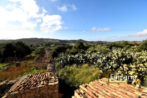 Landejendom i Son Macia, Mallorca, Son Macia - € 800.000 | Ref: FSM-2001 - foto 29
