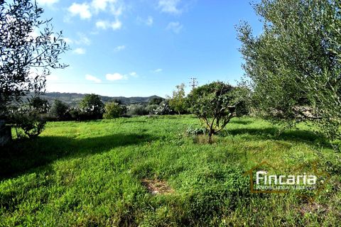Landejendom i Son Macia, Mallorca, Son Macia - € 800.000 | Ref: FSM-2001 - foto 30
