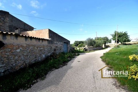 Landejendom i Son Macia, Mallorca, Son Macia - € 800.000 | Ref: FSM-2001 - foto 31