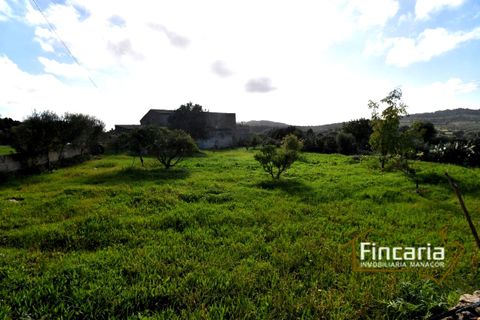 Landejendom i Son Macia, Mallorca, Son Macia - € 800.000 | Ref: FSM-2001 - foto 32