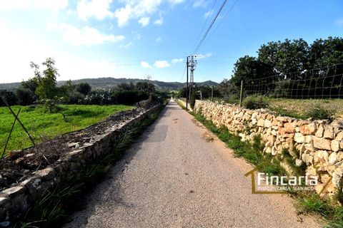 Landejendom i Son Macia, Mallorca, Son Macia - € 800.000 | Ref: FSM-2001 - foto 34