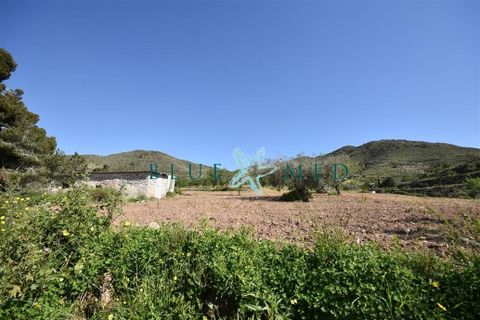 Terra a Isla Plana, Murcia, Isla Plana - € 49.990 | Ref: TALLANTEPLOT/10254 - foto 9