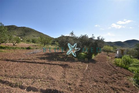 Terra a Isla Plana, Murcia, Isla Plana - € 49.990 | Ref: TALLANTEPLOT/10254 - foto 14