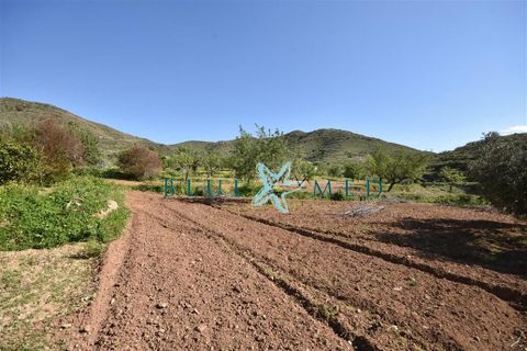 Terra a Isla Plana, Murcia, Isla Plana - € 49.990 | Ref: TALLANTEPLOT/10254 - foto 15