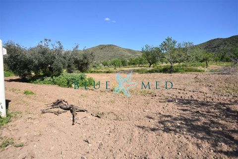 Terra a Isla Plana, Murcia, Isla Plana - € 49.990 | Ref: TALLANTEPLOT/10254 - foto 18