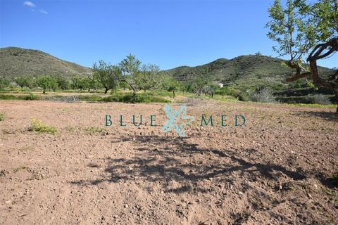 Terra a Isla Plana, Murcia, Isla Plana - € 49.990 | Ref: TALLANTEPLOT/10254 - foto 19