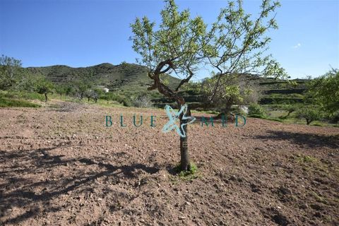 Terra a Isla Plana, Murcia, Isla Plana - € 49.990 | Ref: TALLANTEPLOT/10254 - foto 20