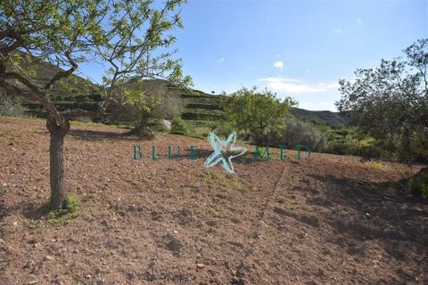 Terra a Isla Plana, Murcia, Isla Plana - € 49.990 | Ref: TALLANTEPLOT/10254 - foto 21
