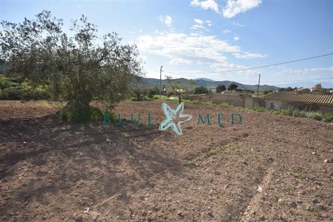 Terra a Isla Plana, Murcia, Isla Plana - € 49.990 | Ref: TALLANTEPLOT/10254 - foto 23