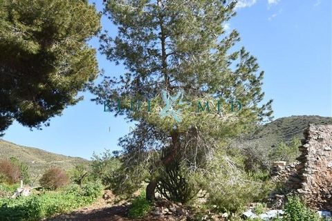 Terra a Isla Plana, Murcia, Isla Plana - € 49.990 | Ref: TALLANTEPLOT/10254 - foto 29