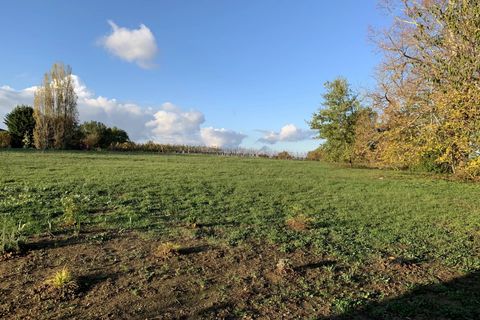 Villa i Sauveterre-de-Guyenne, Gironde, Sauveterre-de-Guyenne - € 404.500 | Ref: BVI67527 - foto 15