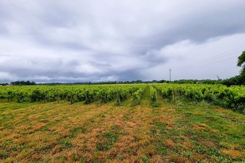 Villa a Cérons, Gironde, Cérons - € 548.000 | Ref: BVI72976 - foto 12