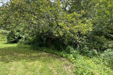 Terra a Curac, Charente, Curac - € 28.000 | Ref: BVI76240 - foto 2