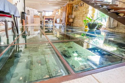 Villa en Plazac, Dordogne, Plazac - € 670.000 | Ref: BVI64523 - photo 9