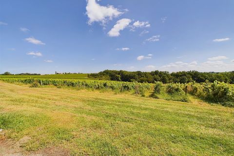 Villa i Pineuilh, Gironde, Pineuilh - € 850.000 | Ref: BVI76362 - foto 14